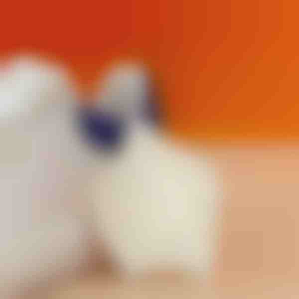 Cojín para talón que reduce el dolor de talón | STEPHEEL